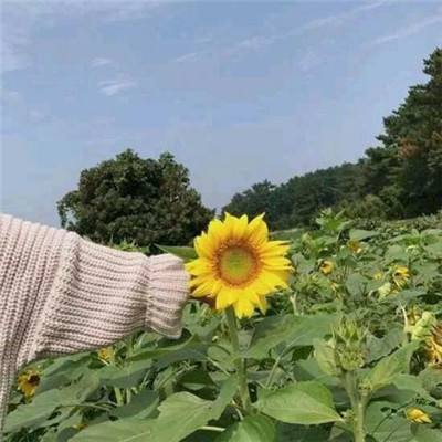 一组数据看全民健身跑出“加速度”