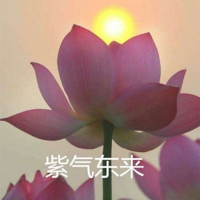 天龙重返经典bt版下载